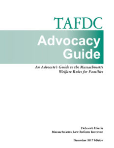 2021 TAFDC Advocacy Guide